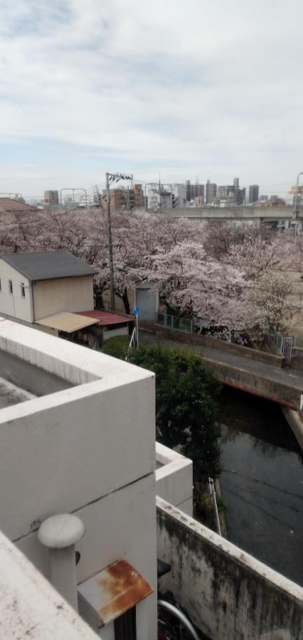Cherry Blossom Koseicho Окаяма Екстер'єр фото